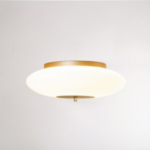 Plafon-Lis-Medio_3423